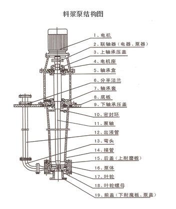 料浆泵结构图.jpg